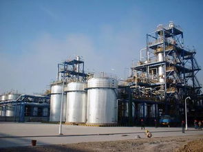 大慶高新區(qū) 打造200億產(chǎn)值油脂產(chǎn)業(yè)鏈，丙酮助力產(chǎn)業(yè)升級(jí)