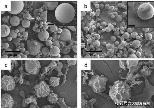 骨灰的化學本質(zhì)與時間演變 從有機物到無機物的轉(zhuǎn)化